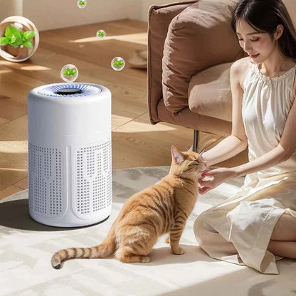 PureBreeze Mini | Advanced Desktop Air Purifier with HEPA & Negative Ion Technology